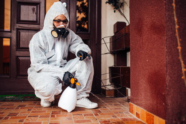 Reliable Bed Bug Control contractor in Palm Springs, FL by Nex Pest Control