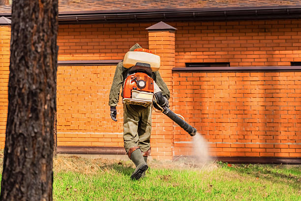 Trusted Fumigation Services service in Palm Springs, FL - Nex Pest Control